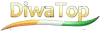 Diwa Top